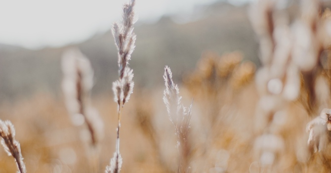 Cognitive Behavioural Therapy - CBT