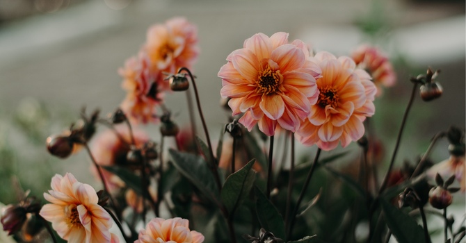 EMDR - (Eye Movement Desensitization and Reprocessing)