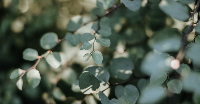 Person-Centred Psychotherapy